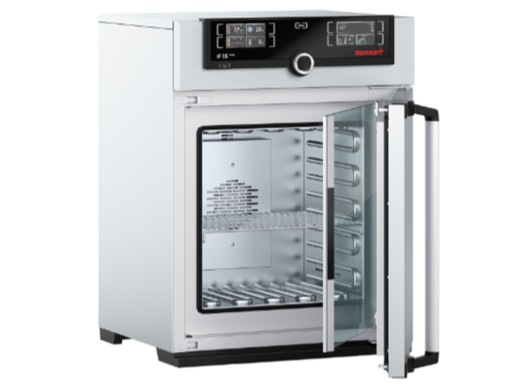 Memmert IF55plus broedstoof