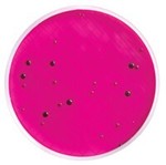 Milliflex Cassette m-Endo LES Agar (48 stuks)