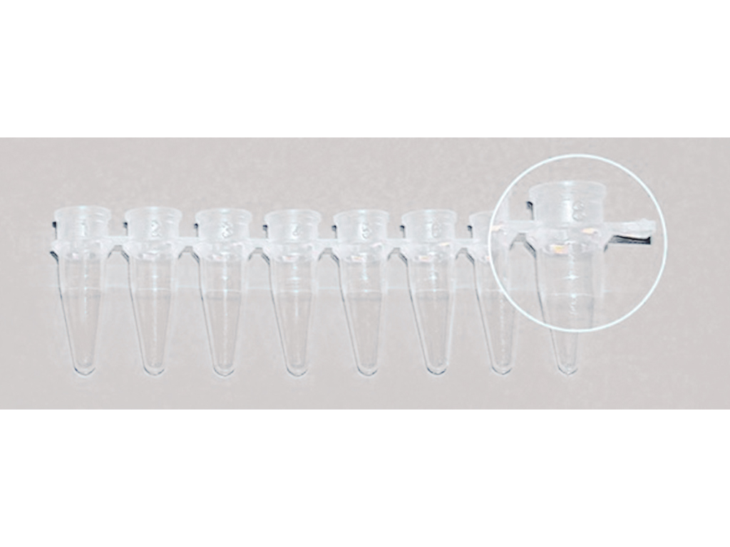 PCR tube 0,2 ml, strip à 8 stuks (125 stuks)