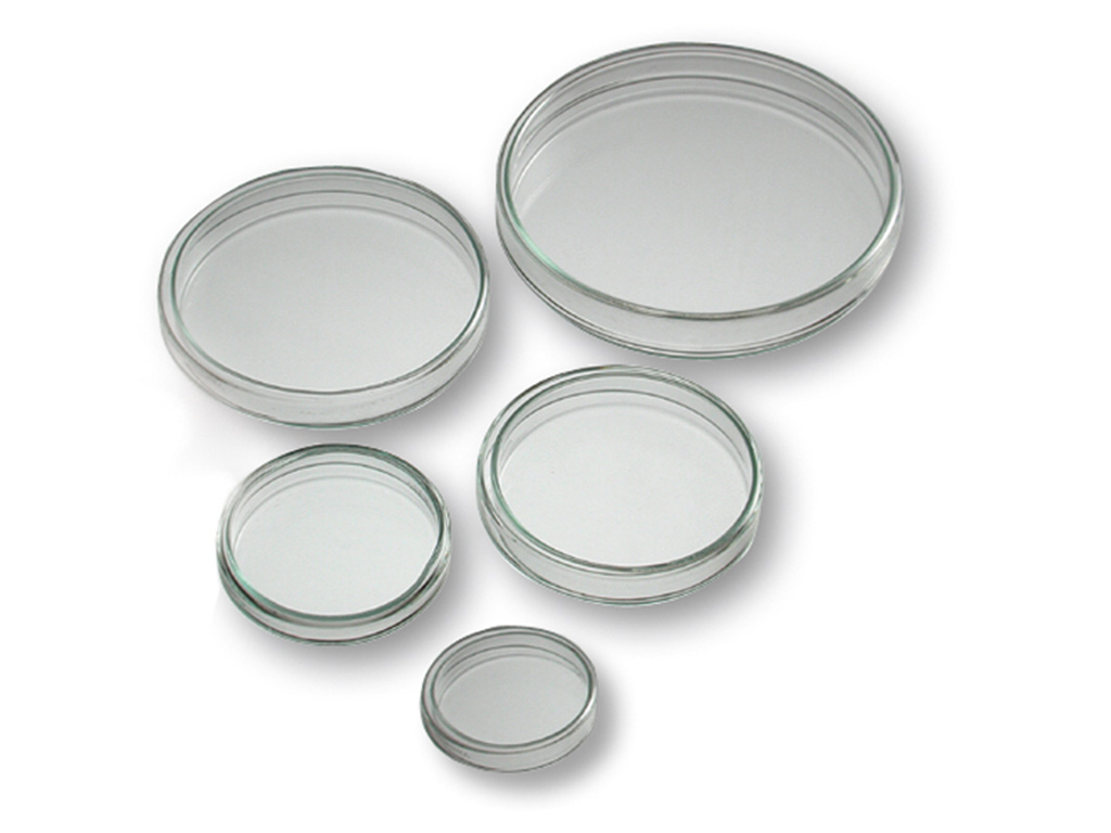 [LG065-00008] Petrischaal glas, 120 x 20 mm (18 stuks)