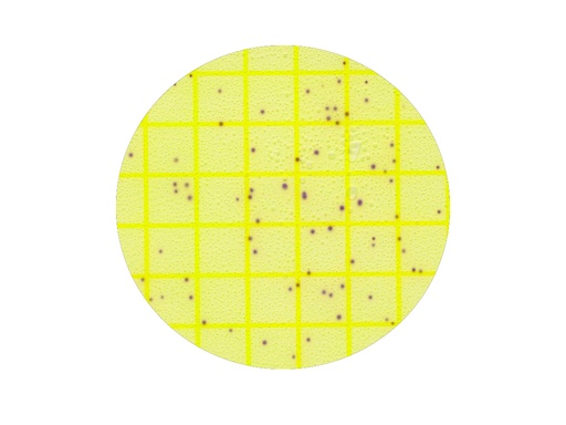 [LV053-10803] 3M Petrifilm Environmental Listeria (8x25 stuks)