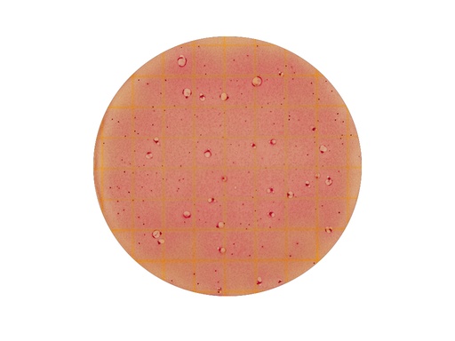 [LV053-10787] Petrifilm High Sensitivity Coliform (20x25 stuks)