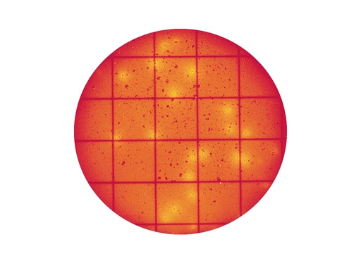 [LV053-10785] Petrifilm Snelle Coliform Telplaat (20x25 stuks)