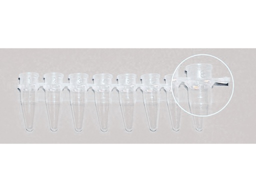 [LD008-01053] PCR tube 0,2 ml, strip à 8 stuks (125 stuks)